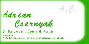 adrian csernyak business card